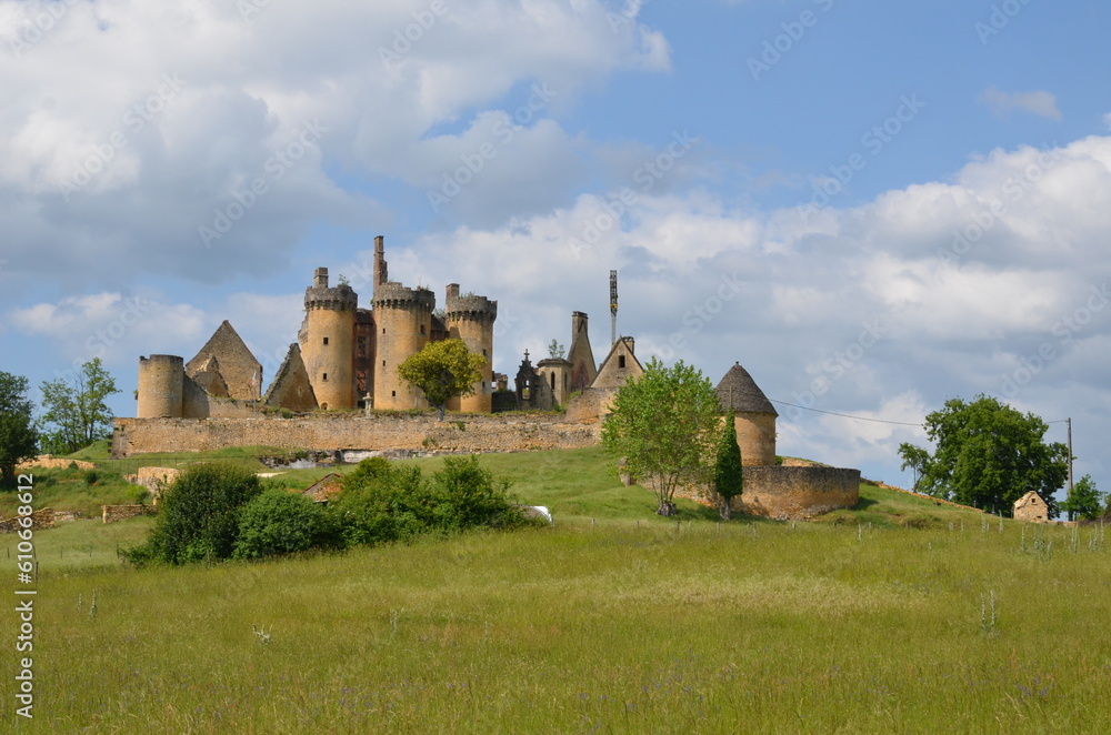 Fototapeta premium CHÂTEAU DE PALUEL
