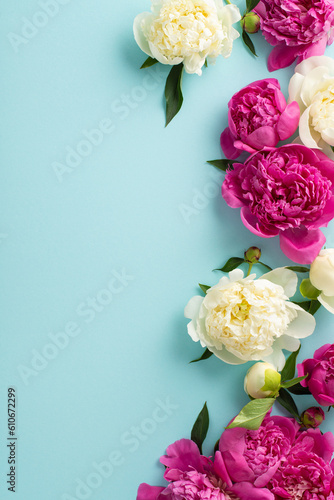 Beautiful peonies concept. Above view photo of magenta and white peony flowers, buds and petals on isolated light blue background with copy-space
