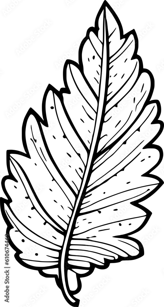 Fototapeta premium Leaf Line Art