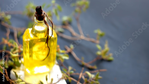 tulsi or basil leaf extracted oil with fresh basil leaves beside it on a  wooden surface  Dolly shot of holy basil  Ocimum basilicum 