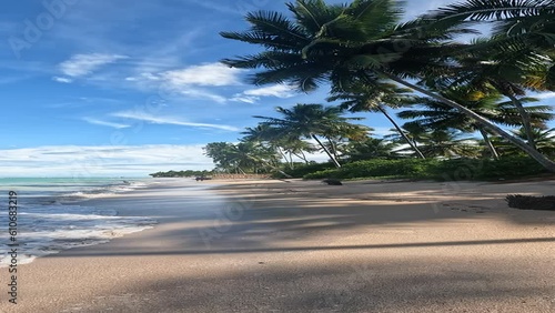 Praia do Patacho Alagoas photo