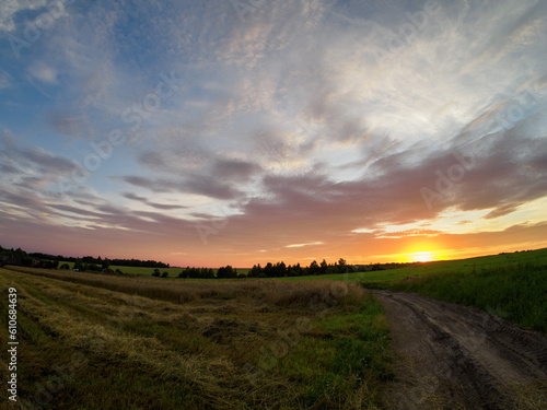 Sunset in a wheat field with a dirt road.