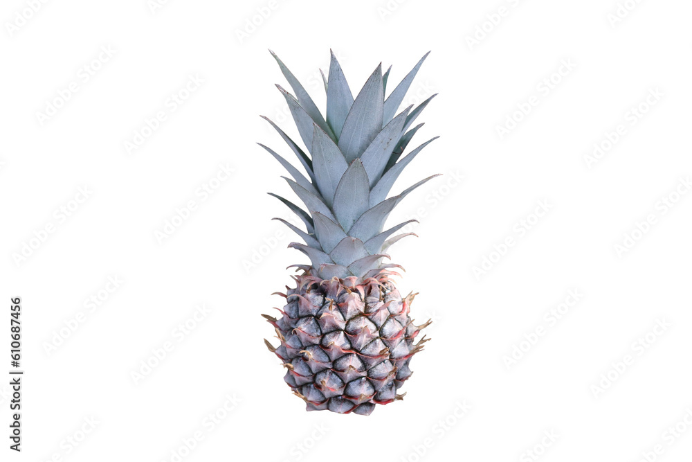 pineapple on PNG background pineapple on PNG background