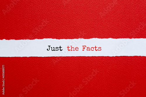 Canvastavla Just the facts - word concept on building blocks, text