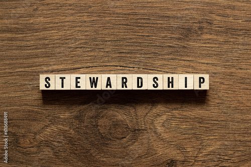 Stewardship - word concept on building blocks, text