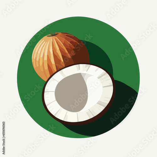 Vector illustration of fresh and juicy coconut