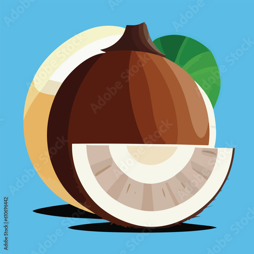 Vector illustration of fresh and juicy coconut