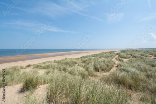 Fototapeta Naklejka Na Ścianę i Meble -  sand dunes and grass on beach