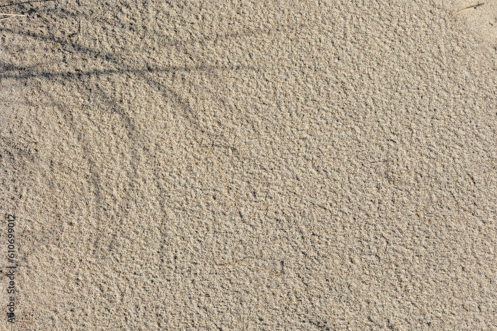 Sandy background with shadows from tall grass. Sandy background with shadows from tall grass.