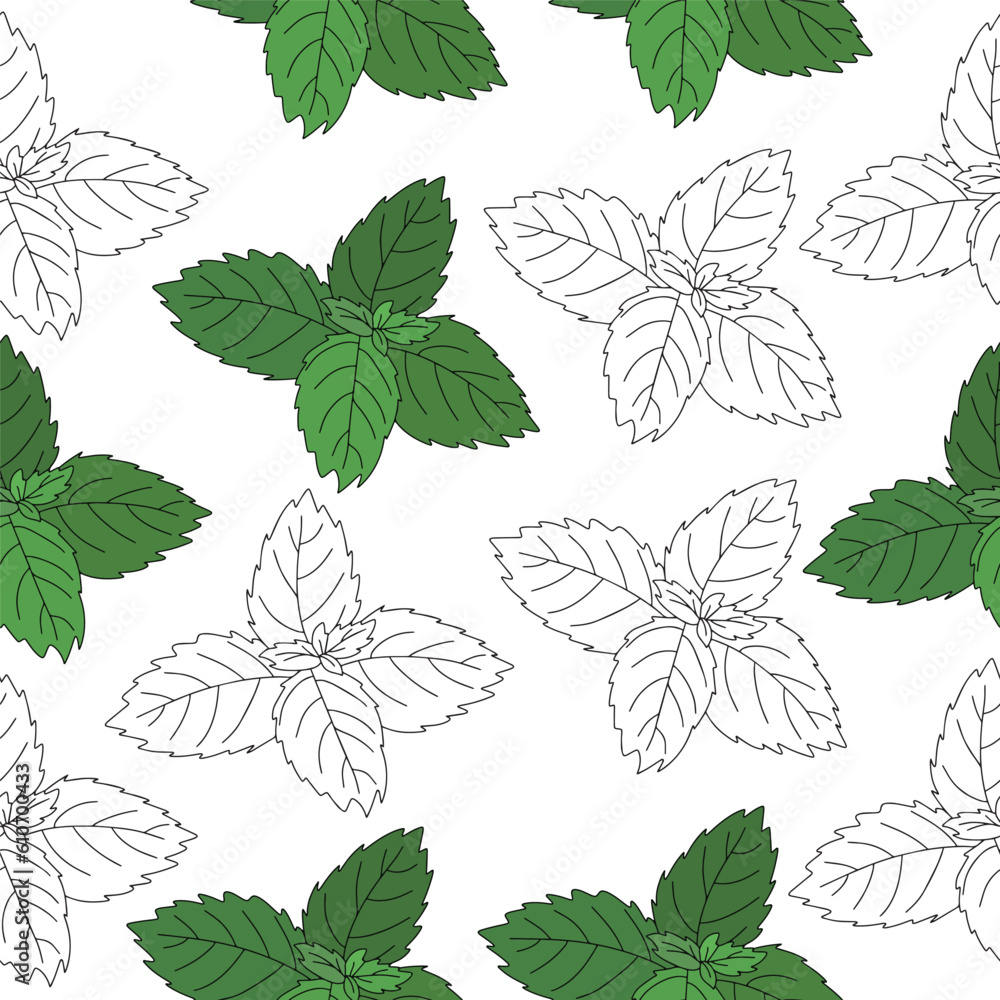Seamless pattern of mint leaf icon. Isolated illustration of a mint leaf icon in linear style on a white background. Seamless pattern of mint leaf icon. Isolated illustration of a mint leaf icon in linear style on a white background.