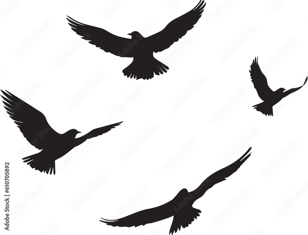 Obraz premium Black vector flying birds flock silhouettes isolated on white background