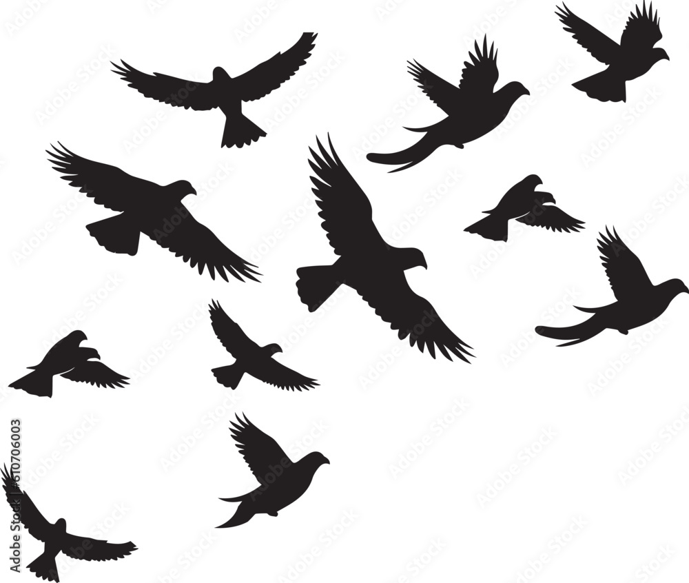 Obraz premium Pigeon Flock Vector Illustration for Wildlife Designs and Nature Themes
