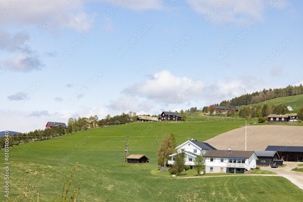 Farm landscape with houses in the background,Tysnset,Tynset is a municipality in Østerdalen in Innlandet county.,Norway Farm landscape with houses in the background,Tysnset,Tynset is a municipality in Østerdalen in Innlandet county.,Norway