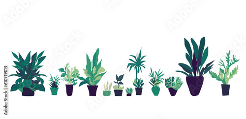 Set of house green plants and flowers for decoration 