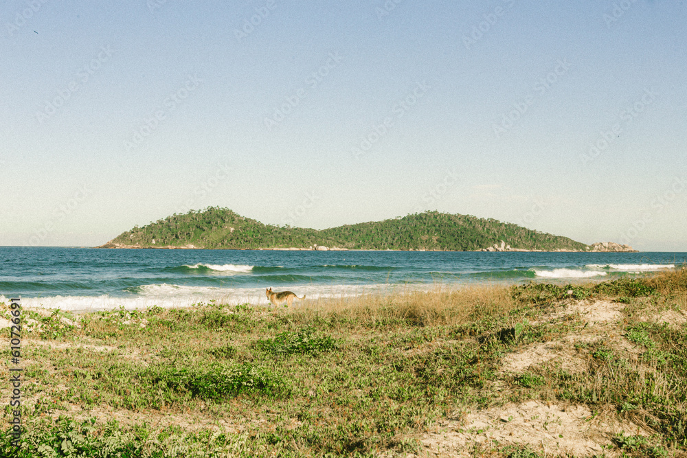 Fototapeta premium beach and sea