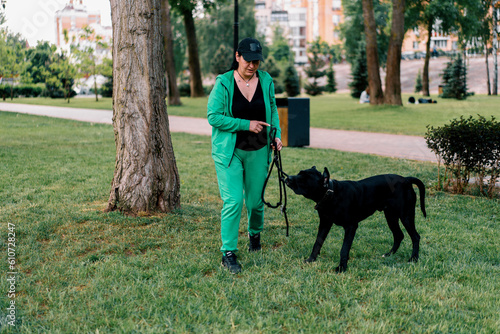 a woman trains a black dog of a large Cane Corso breed on a walk in the park the dog follows the owner's commands