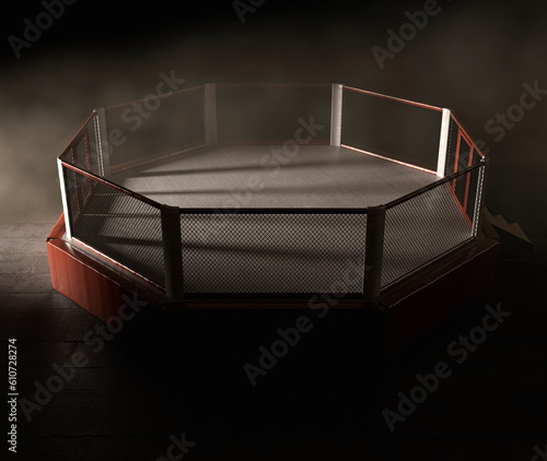 Modern MMA Ring