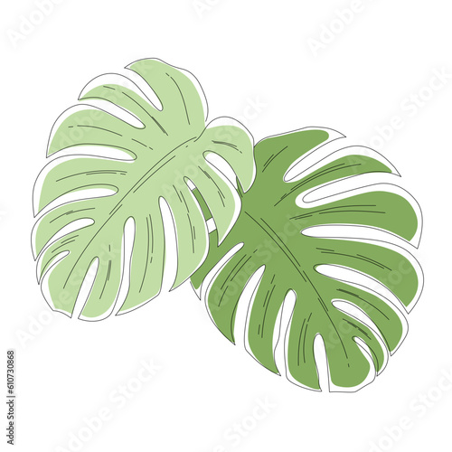 monstera graphic art