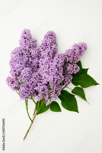 Beautiful purple lilac on a white background. Florist concept. Syringa vulgaris.Natural flower arrangement, top view.