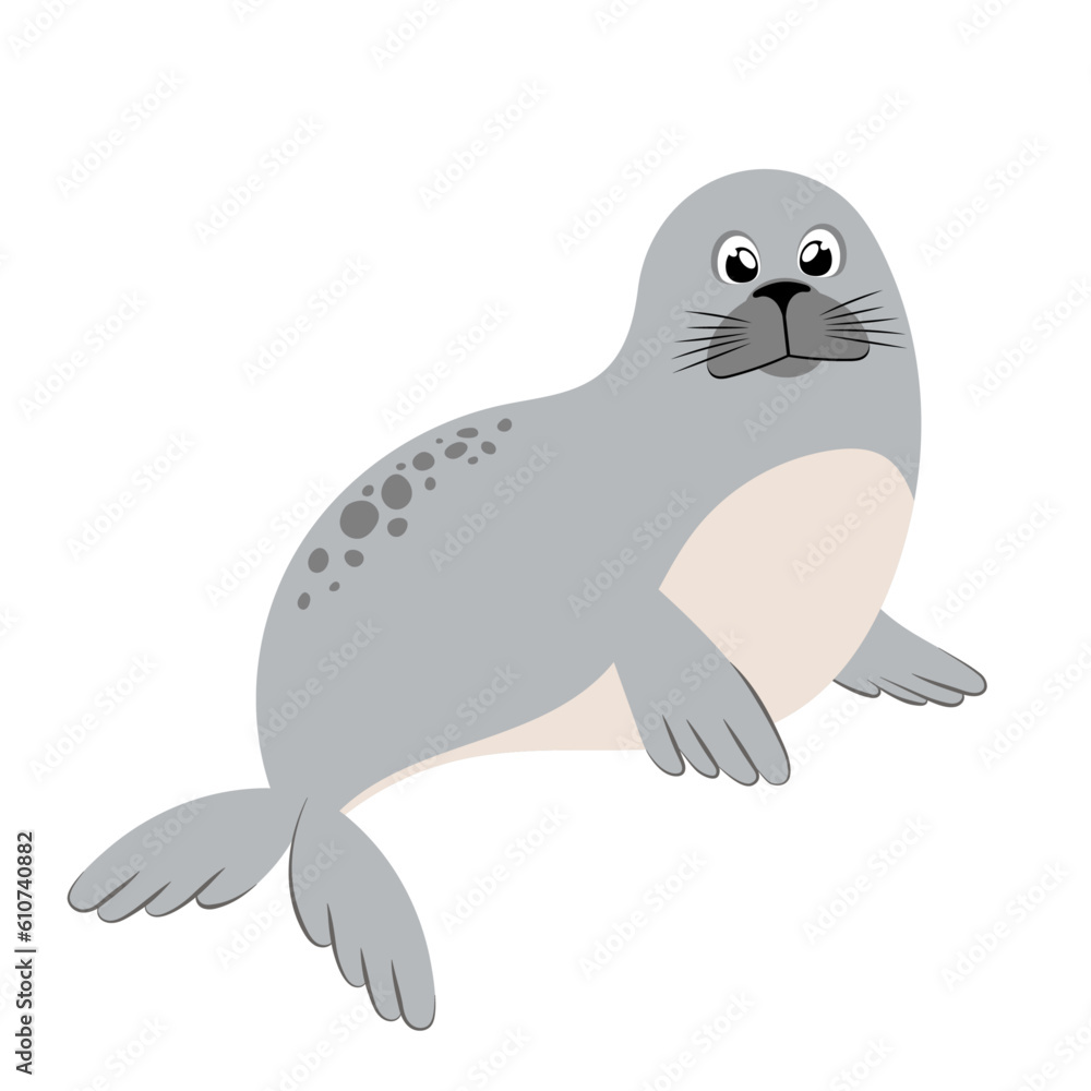Cute harbor seal cartoon animal design flat vector illustration isolated on white background Cute harbor seal cartoon animal design flat vector illustration isolated on white background