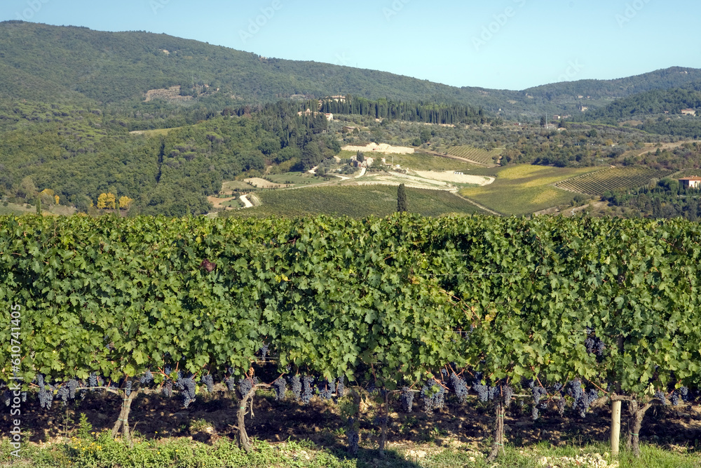 Tuscany - Between Passo Dei Pecorei and Greve In Chianti - Italy