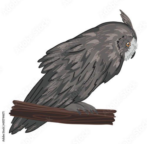Long-eared owl clipart in cartoon style. Realistic colored drawing of nocturnal bird wild animal. Vector illustration isolated on white background.