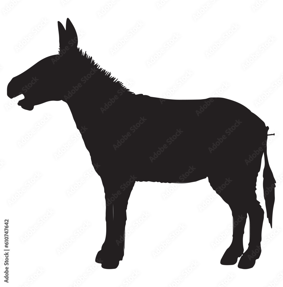 Fototapeta premium Donkey Silhouette