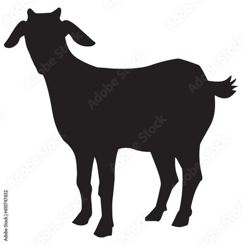 silhouette of a goat