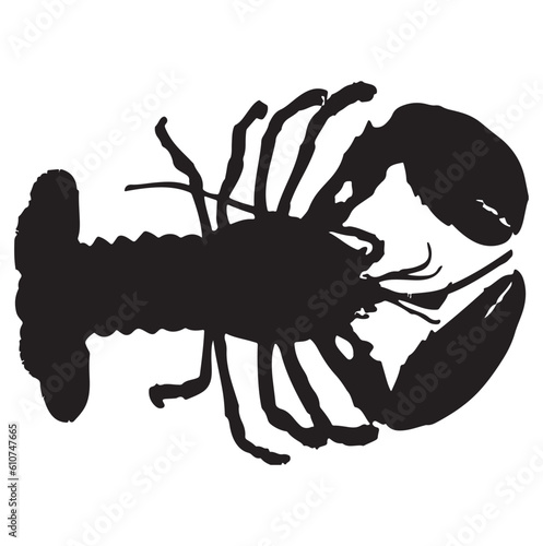 silhouette of a lobster
