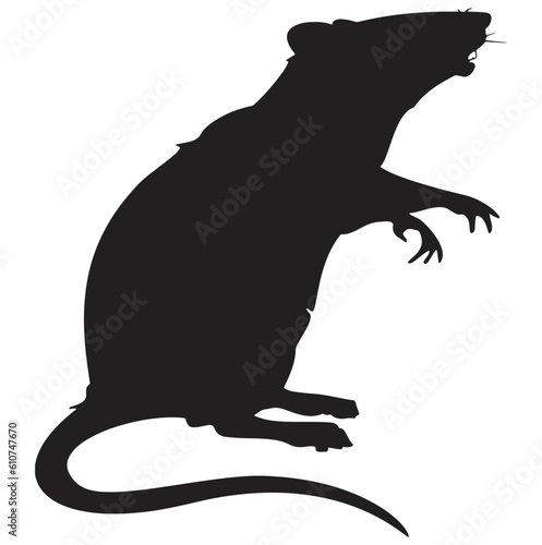 Rat silhouette