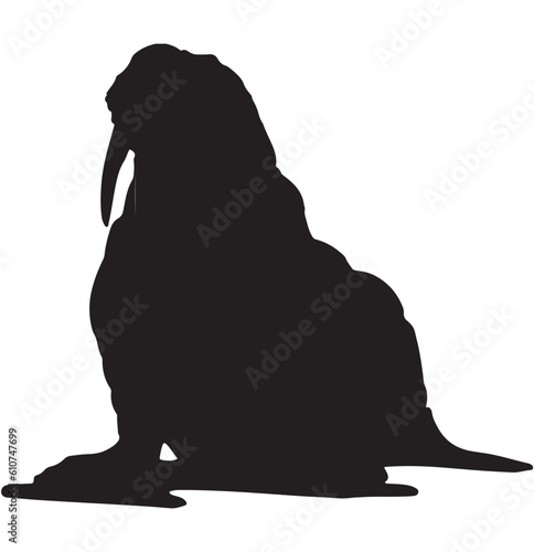 silhouette of a Walrus