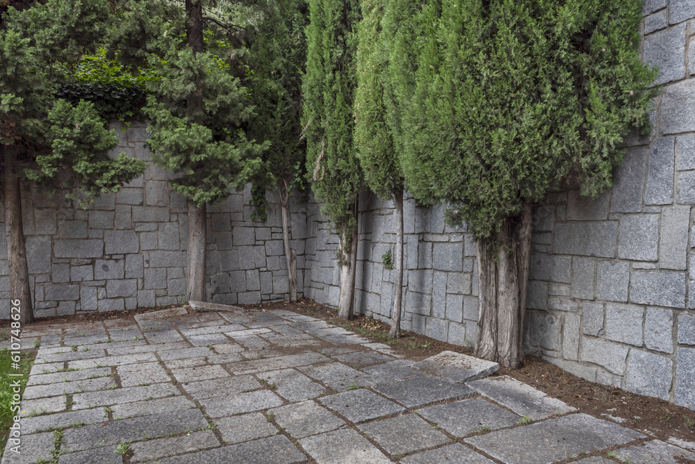 A walled corner of a park with cypress trees A walled corner of a park with cypress trees