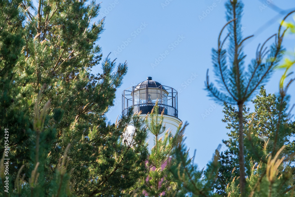 Estonian coastal lighthouse. A view of the tip of the lighthouse among the pine branches. clear blue sky.