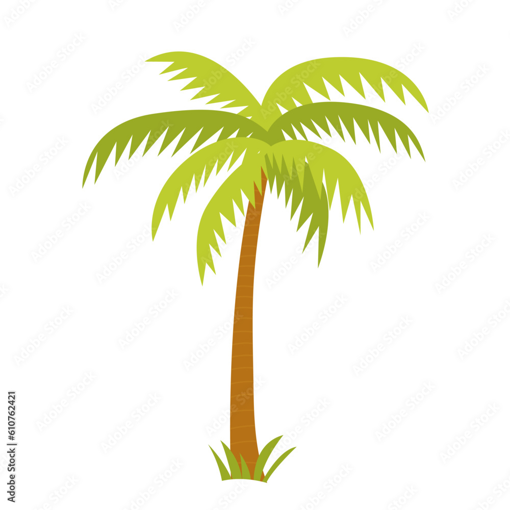 Vector flat style beach palm illustration.