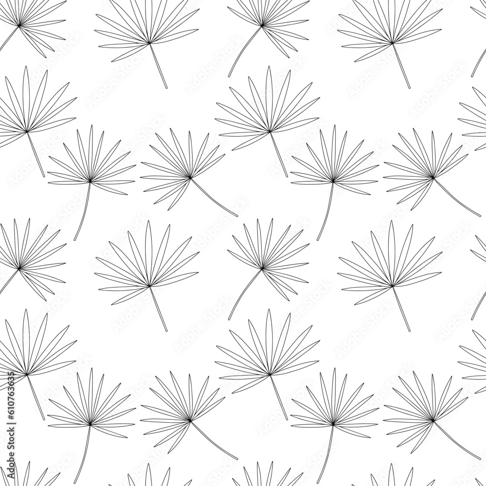 Vector chamaerops seamless pattern. Hand drawn tropical leaves sketch pattern