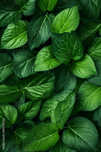 Illustration of Lush Green Leaves Creating a Captivating and Refreshing Background - Ideal for Nature-inspired Designs, Eco-friendly Campaigns, and Organic Lifestyle Concepts. Generative AI
