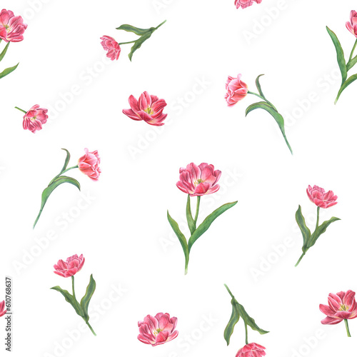 Watercolor seamless pattern of pink tulips isolated on transparent background. Spring flower illustration for print, textile design, wrapping paper, scrapbooking, postcards