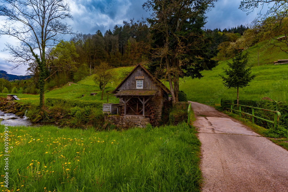 Schwarzwald Schwarzwald