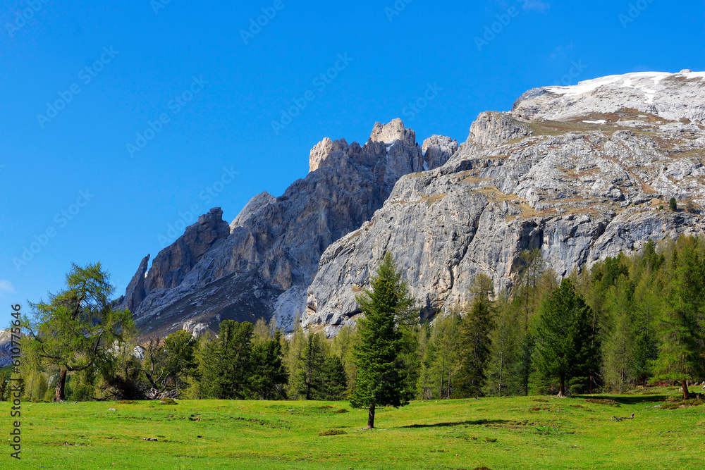 Summer landscape of Durrenstein mountain, Dolomites, Italy, Europe