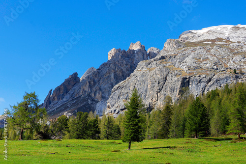 Summer landscape of Durrenstein mountain, Dolomites, Italy, Europe