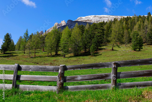 Summer landscape of Durrenstein mountain, Dolomites, Italy, Europe