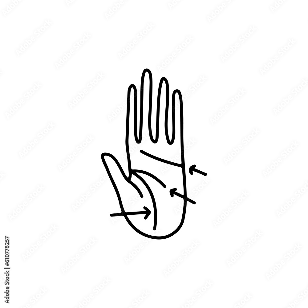 Obraz premium vector illustration of a palm