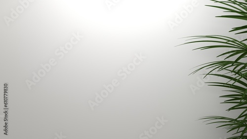Fototapeta Naklejka Na Ścianę i Meble -  Blank clean white wallpaper wall with leaf shadow for luxury product display, interior design decoration background 3D rendering.