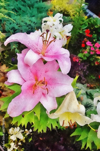 Beautiful Pink And White Flowers Of Oriental Lily. Closeup Of Colorful Flowers in The Garden. Vertical View. Flower graphic imitating an Watercolor Painting. Watercolor technique.
