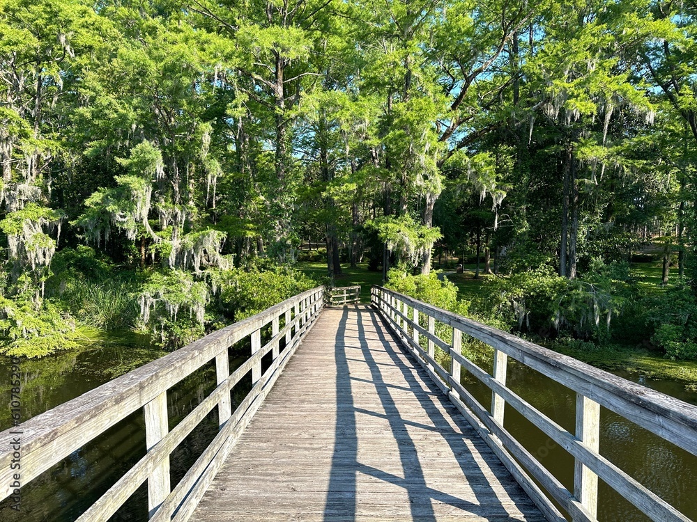 Wooden bridge over a river in the summer with large trees, Greenfield Park