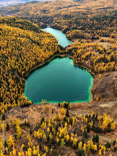 Vertical drone photo of an autumn forest with yellow and green trees on a rock and two large turquoise lakes below in the daytime