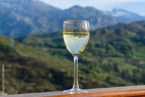Glass of swiss or savoy dry white wine with Alpine mountains peaks on background in sunny day