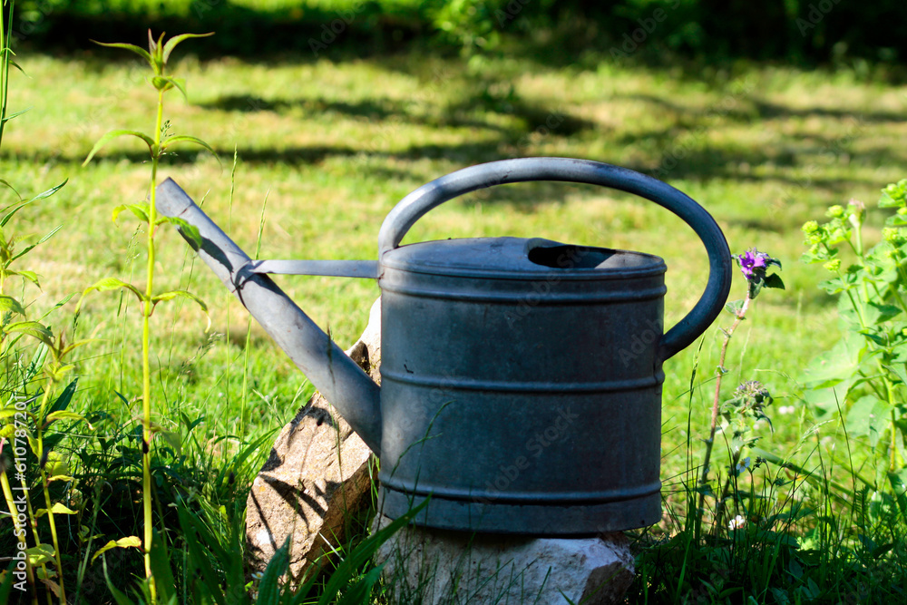 watering can in garden watering can in garden