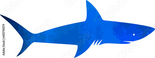 Colorful Shark Fish Element