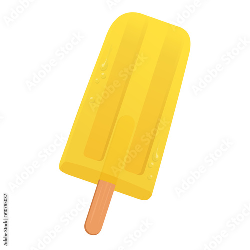 Fresh delicious popsicle summer snack